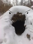omnomnom.JPG
