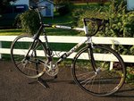 P1040750.3 kopiera.JPG