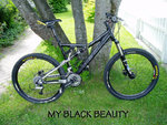My Black Beauty.jpg