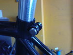 DSC01581.JPG