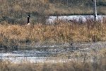 _DSC7435web.jpg