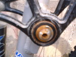 DSC00445.JPG