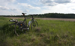 cykkel.jpg