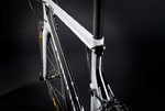 R16_backview-web.jpg