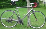 DSC00175c.jpg