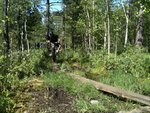 IMG_0911.JPG