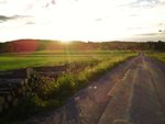 20100705410.jpg