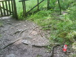 DSC00955.JPG