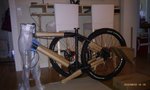 IMAG0116.jpg