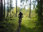 DSC08429.JPG