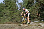 IMG_5317.JPG