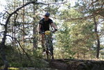 IMG_5346.JPG