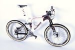 Allebike mb30.jpg