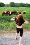 getting-the-cows-attention.jpg