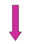 pil1.gif