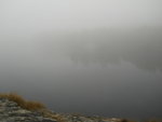 sommar 2010 009.jpg