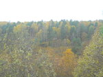 sommar 2010 012.jpg