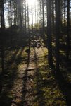 _DSC0296.JPG