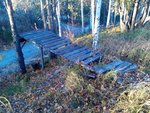 IMG_20101012_162006.jpg