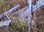 IMG_20101012_162318.jpg