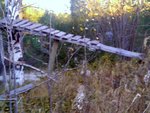 IMG_20101012_162423.jpg