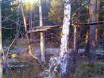IMG_20101012_162432.jpg