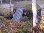 IMG_20101012_162547.jpg