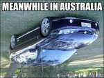 meanwhile_in_australia_thumb-300x225.jpg