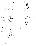 apansnäve.gif