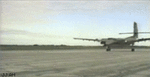 fly.gif