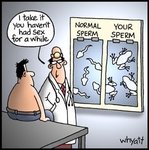 sex_20cartoon.jpg