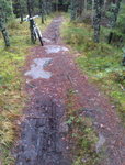 IMAG0184_1.jpg