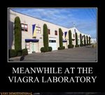 viagra-laboratory.jpg
