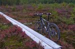 trek4900.JPG