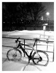 sno.JPG