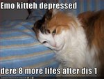 funny-pictures-cat-is-depressed.jpg