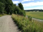 Photo-0074.jpg