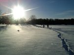 Photo-0212.jpg