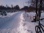 IMAG0034.jpg