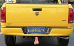 bumpernuts.jpg