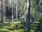 P1040742.JPG