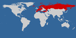 worldmap.gif