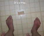 trap_11.jpg