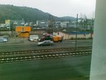 20110309.jpg