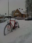snowd.jpg
