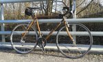 Surly.jpg