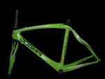 Green-1.jpg
