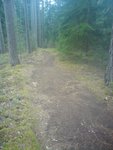 DSC00116.JPG