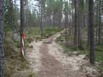 CIMG0265.JPG