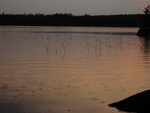 IMG_7050.JPG